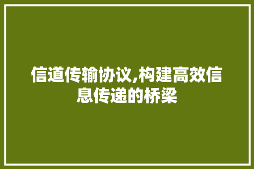 信道传输协议,构建高效信息传递的桥梁 360搜优化