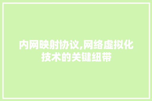 内网映射协议,网络虚拟化技术的关键纽带