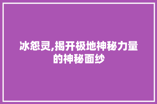 冰怨灵,揭开极地神秘力量的神秘面纱 英文谷歌算法