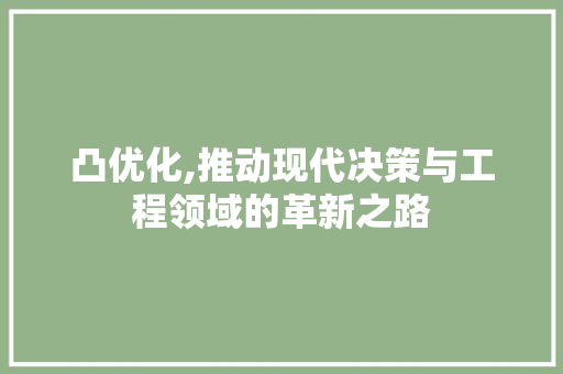 凸优化,推动现代决策与工程领域的革新之路
