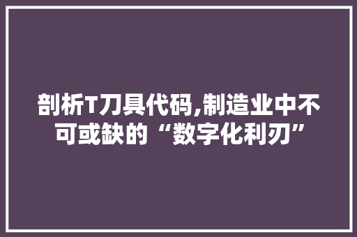 剖析T刀具代码,制造业中不可或缺的“数字化利刃” 搜狗优化