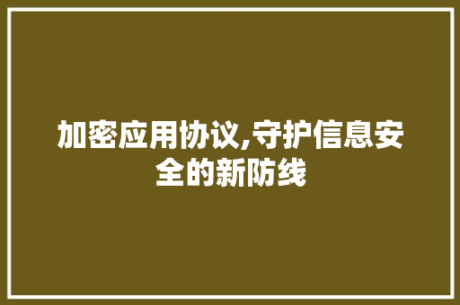 加密应用协议,守护信息安全的新防线