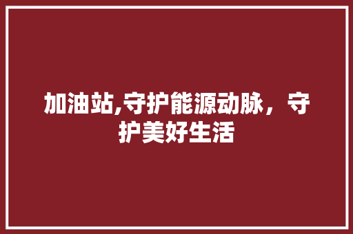 加油站,守护能源动脉，守护美好生活 百度算法
