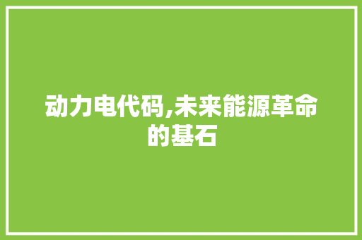 动力电代码,未来能源革命的基石