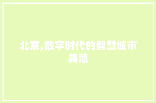 北京,数字时代的智慧城市典范