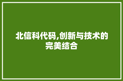 北信科代码,创新与技术的完美结合 网站优化