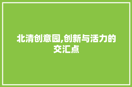 北清创意园,创新与活力的交汇点