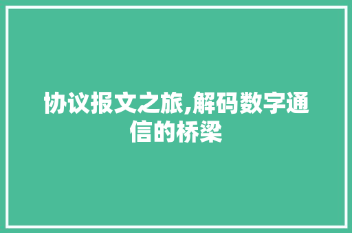 协议报文之旅,解码数字通信的桥梁