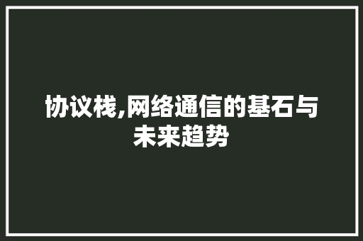 协议栈,网络通信的基石与未来趋势