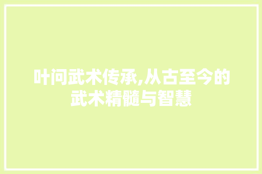 叶问武术传承,从古至今的武术精髓与智慧