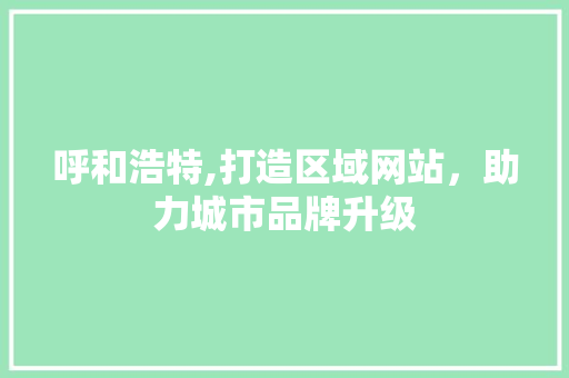 呼和浩特,打造区域网站，助力城市品牌升级 小程序开发