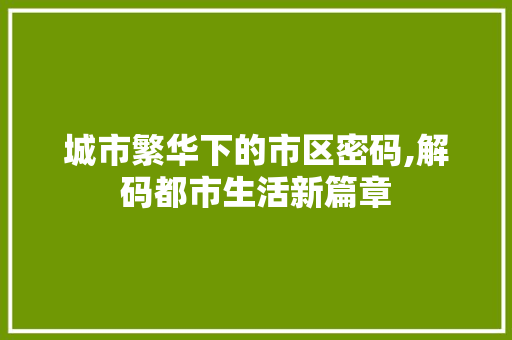 城市繁华下的市区密码,解码都市生活新篇章 网站开发