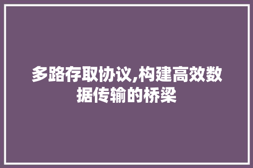 多路存取协议,构建高效数据传输的桥梁 AI技术学习