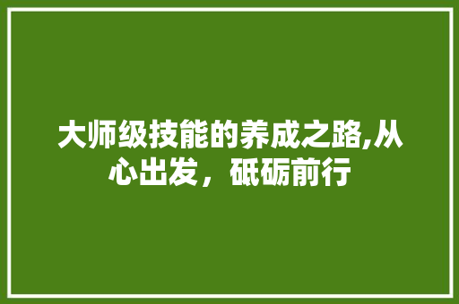 大师级技能的养成之路,从心出发，砥砺前行