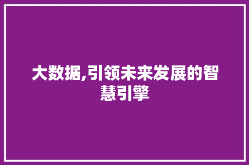 大数据,引领未来发展的智慧引擎