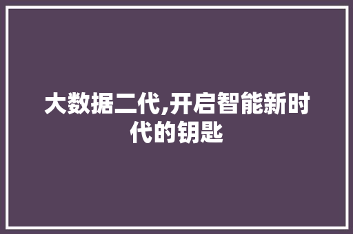 大数据二代,开启智能新时代的钥匙