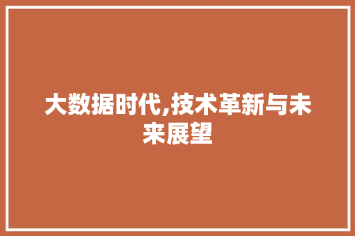 大数据时代,技术革新与未来展望 百度算法