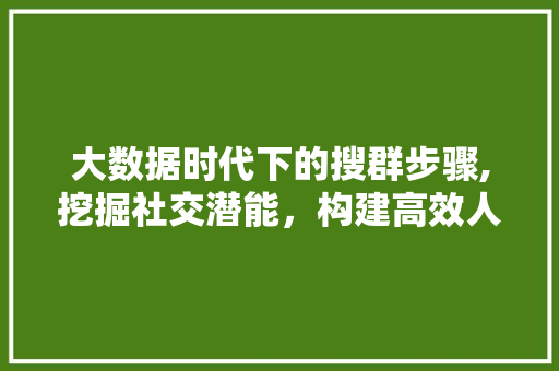 大数据时代下的搜群步骤,挖掘社交潜能，构建高效人脉网络 头条优化