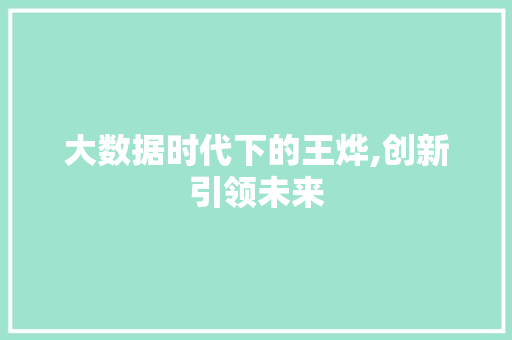 大数据时代下的王烨,创新引领未来 网站优化