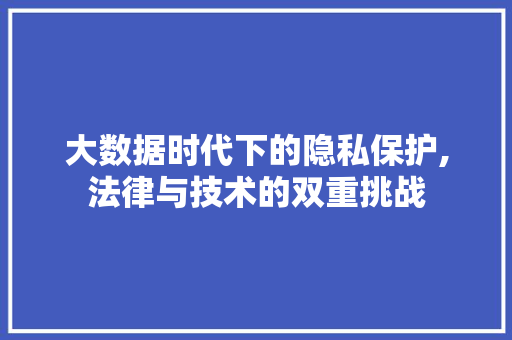 大数据时代下的隐私保护,法律与技术的双重挑战