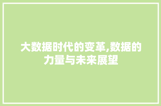 大数据时代的变革,数据的力量与未来展望