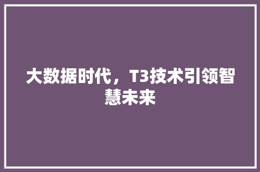 大数据时代，T3技术引领智慧未来