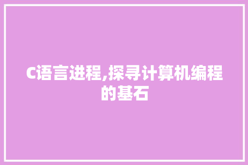 C语言进程,探寻计算机编程的基石 英文谷歌算法
