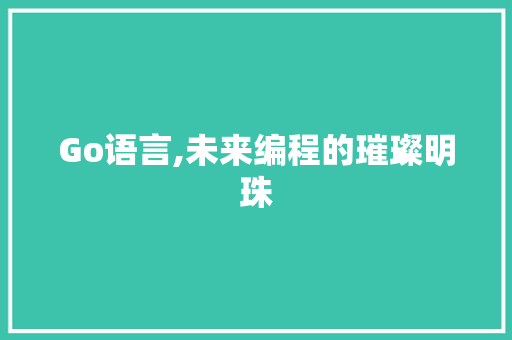 Go语言,未来编程的璀璨明珠 头条优化