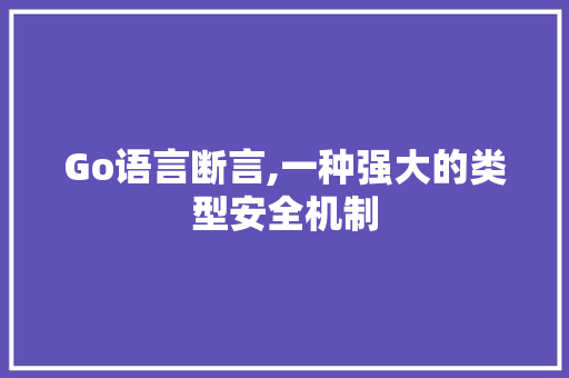 Go语言断言,一种强大的类型安全机制