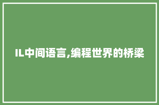 IL中间语言,编程世界的桥梁 搜狗优化