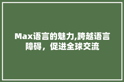 Max语言的魅力,跨越语言障碍，促进全球交流 百度算法