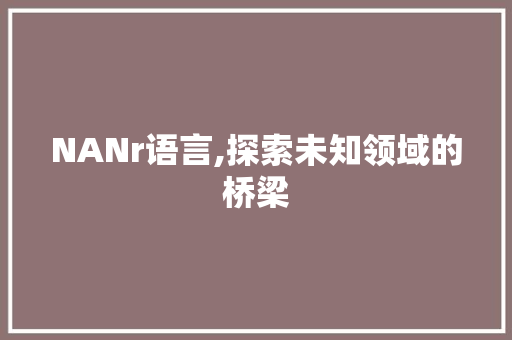 NANr语言,探索未知领域的桥梁 网站开发