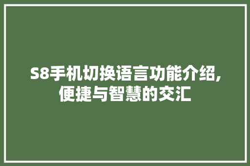 S8手机切换语言功能介绍,便捷与智慧的交汇 英文谷歌算法