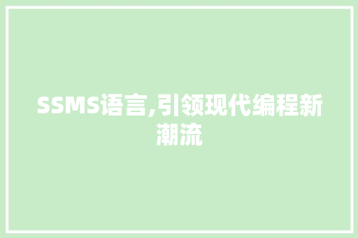 SSMS语言,引领现代编程新潮流