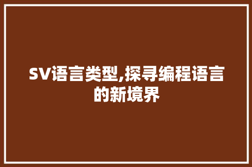 SV语言类型,探寻编程语言的新境界