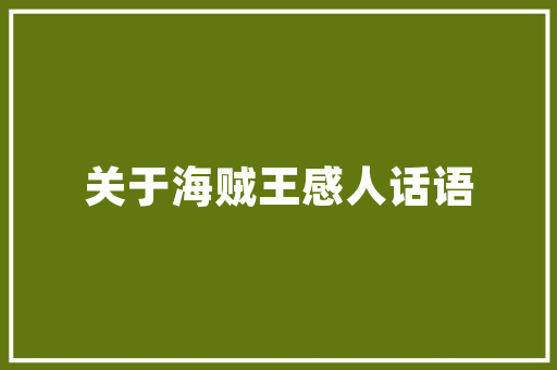VSGO语言,引领未来编程潮流的革新之作 小程序开发