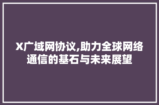 X广域网协议,助力全球网络通信的基石与未来展望