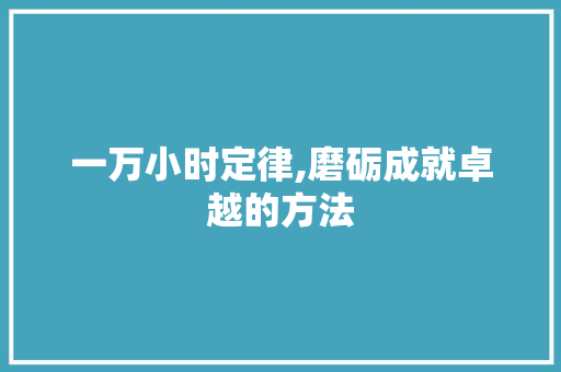 一万小时定律,磨砺成就卓越的方法 seo技术