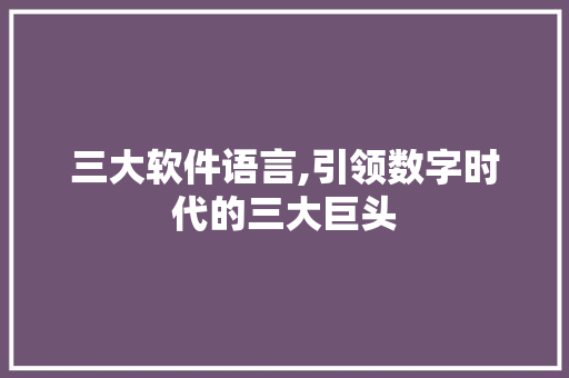 三大软件语言,引领数字时代的三大巨头 头条优化