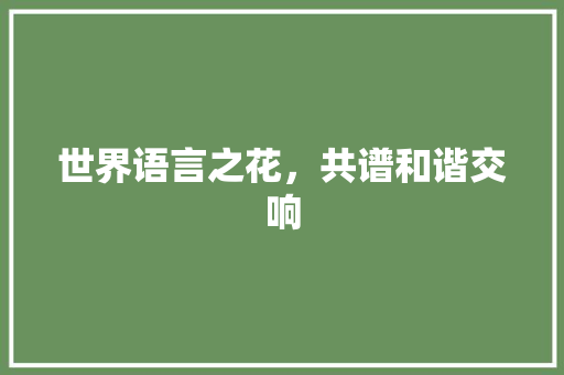 世界语言之花，共谱和谐交响