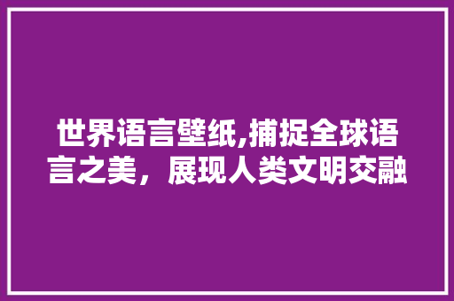 世界语言壁纸,捕捉全球语言之美，展现人类文明交融 seo技术