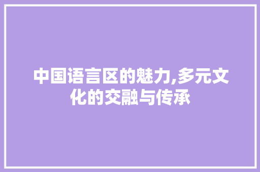 中国语言区的魅力,多元文化的交融与传承 网站开发