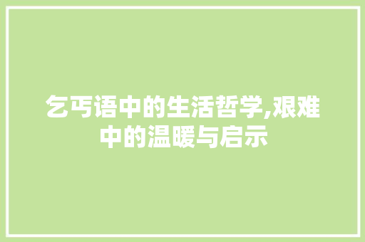 乞丐语中的生活哲学,艰难中的温暖与启示 360搜优化