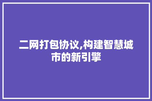 二网打包协议,构建智慧城市的新引擎