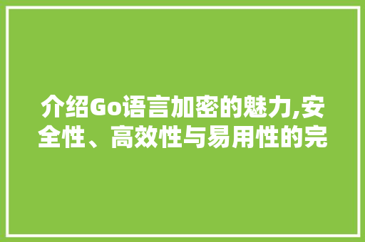 介绍Go语言加密的魅力,安全性、高效性与易用性的完美结合