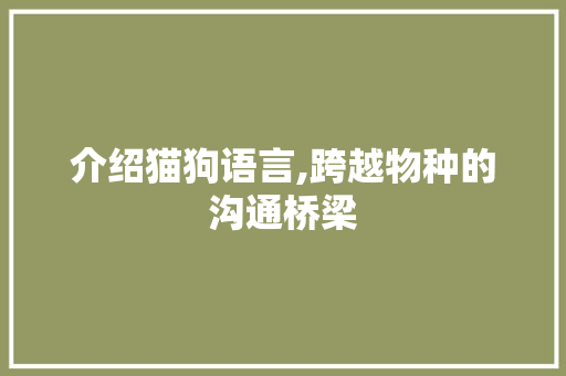 介绍猫狗语言,跨越物种的沟通桥梁