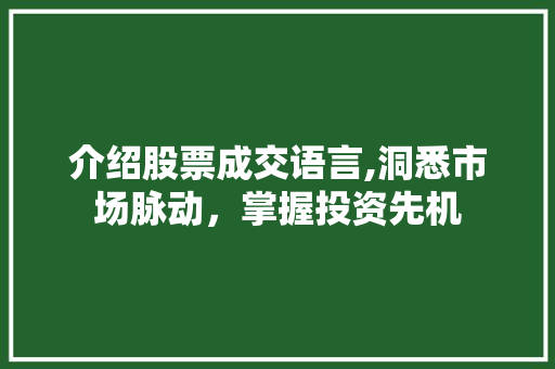 介绍股票成交语言,洞悉市场脉动，掌握投资先机