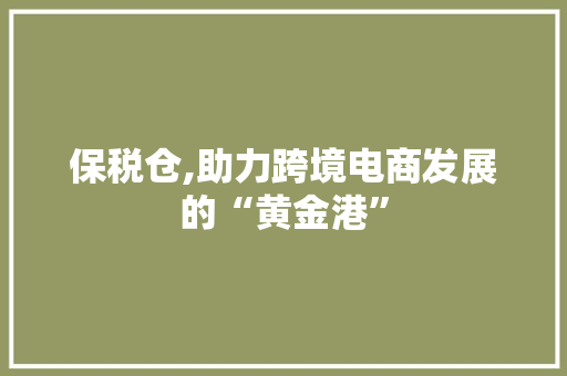 保税仓,助力跨境电商发展的“黄金港”