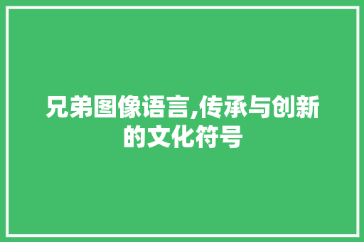 兄弟图像语言,传承与创新的文化符号