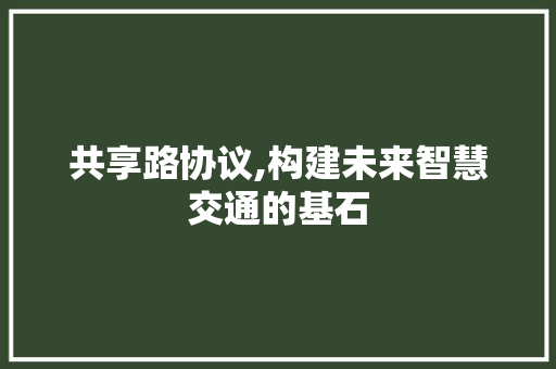 共享路协议,构建未来智慧交通的基石